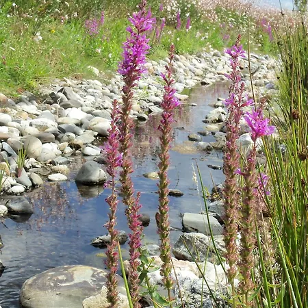 2 Calme, Proche Et - Fr-1-783-21 Horská chata La Chapelle-Hermier