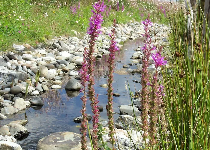 2 Calme, Proche Et - Fr-1-783-21 Шале La Chapelle-Hermier